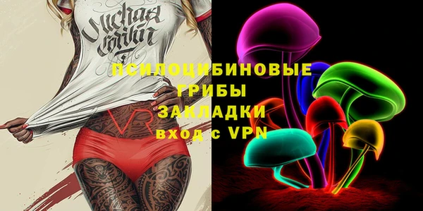 СК Вязьма