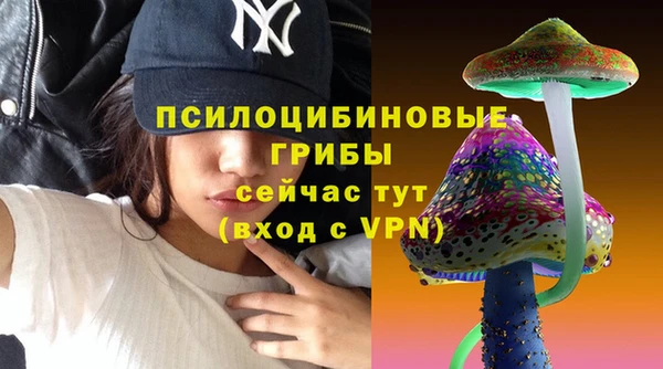 дживик Вяземский