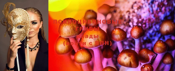дживик Вяземский